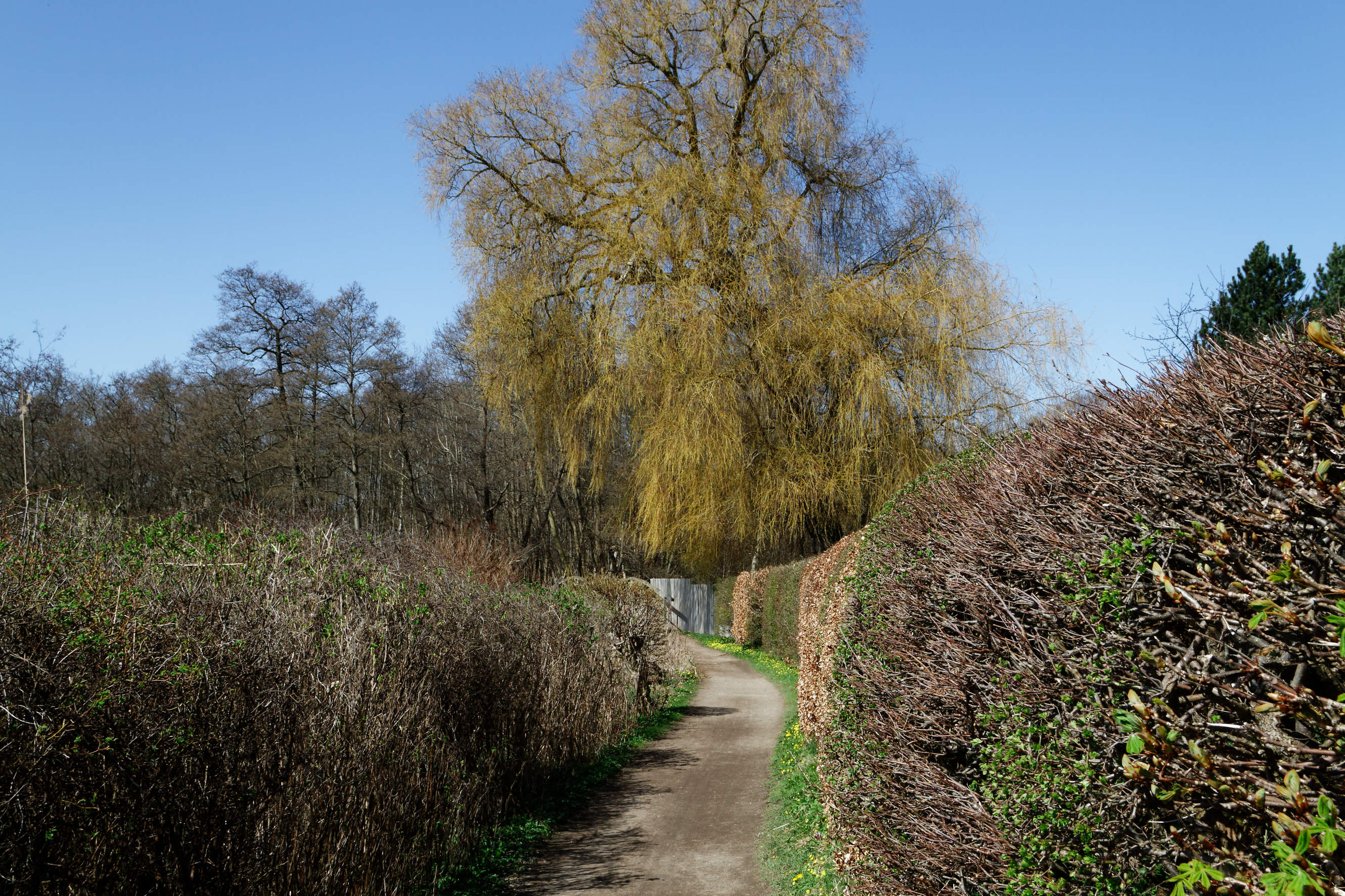 20210420 Lyngby Sø 27